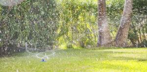 awn With  Sprinkler Maintenance In Texas