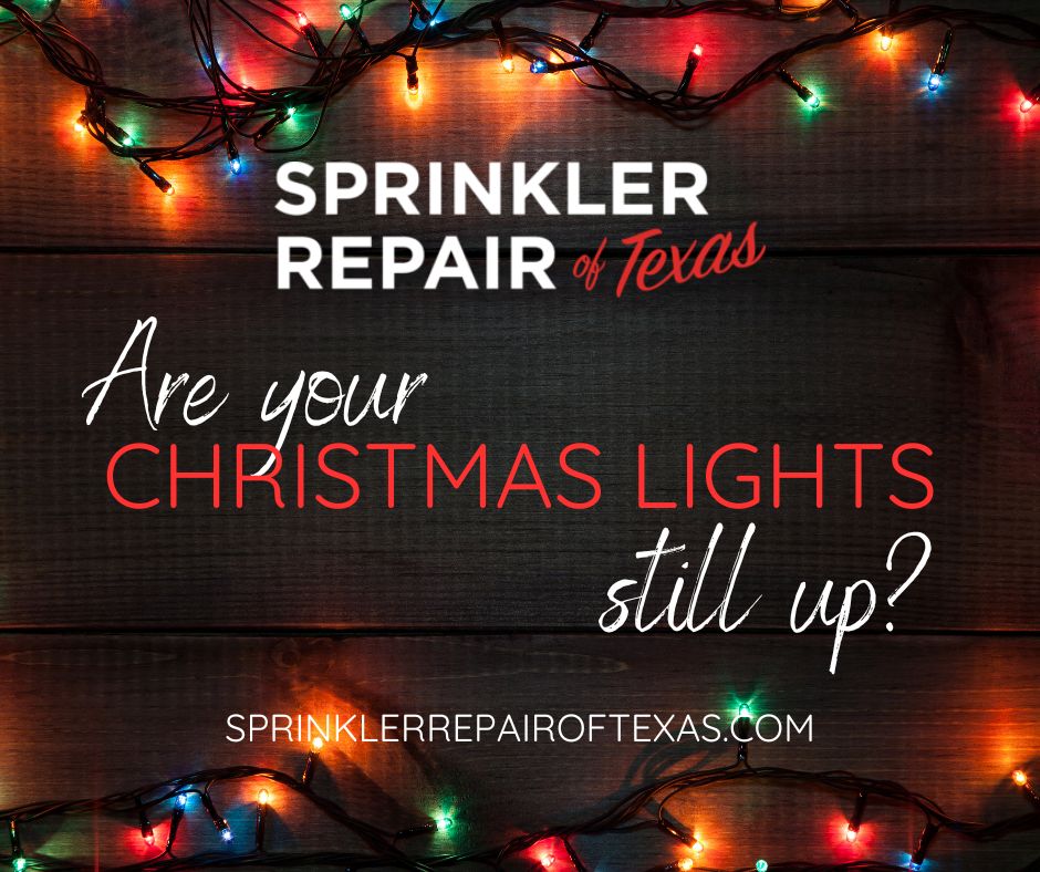 Are Your Christmas Lights Still Up… in Spring Sprinkler Repair of Texas
