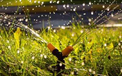 Your Landscape Needs an Expertly Set Up Lawn Sprinkler