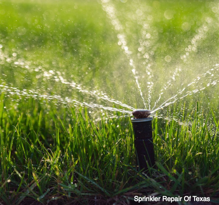 Spice Up Your Yard With a Sprinkler