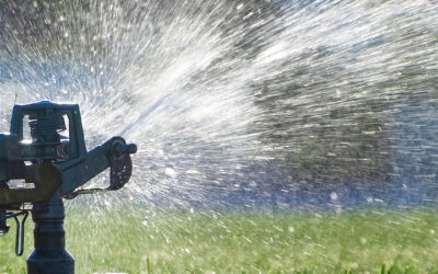 HOW CAN A SPRINKLER COMPANY ASSIST MY LAWN?