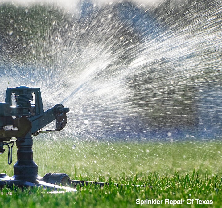 HOW CAN A SPRINKLER COMPANY ASSIST MY LAWN?