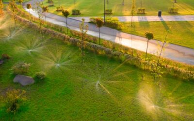 5 FACTORS TO SELECT A TEXAS SPRINKLER SERVICE FOR YOUR LAWN