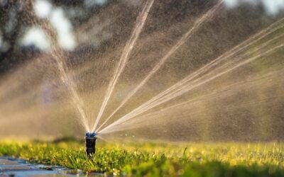 Best Sprinkler Repair Mckinney Tx Services in Mckinney & All Over Texas