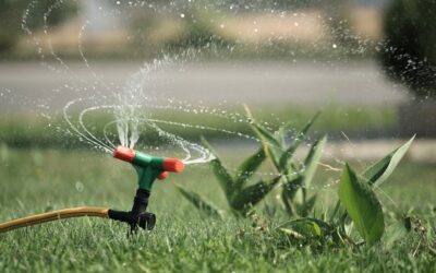 Get Professional De Winterize Sprinkler System Services