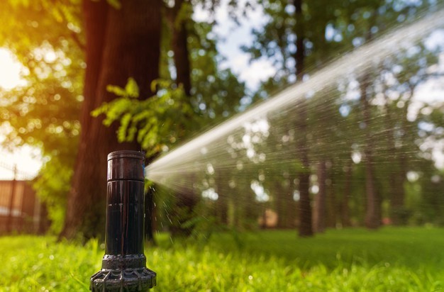 Sprinkler Repair Dallas – How to Find the Best Company?