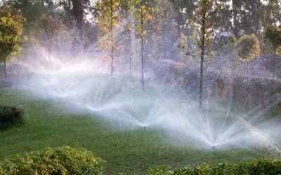 Lawn Sprinkler System Repairs