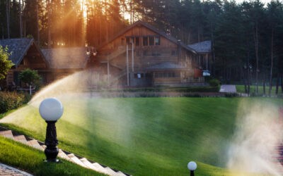 Affordable, Same-day sprinkler head repair Services in Dallas, TX