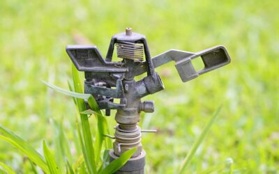 5 Ways to Maintain Your Sprinkler System