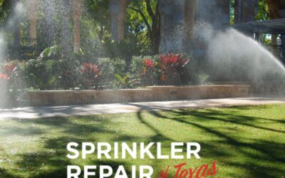 Having a Professional Irrigation Installation for your Front or Backyard