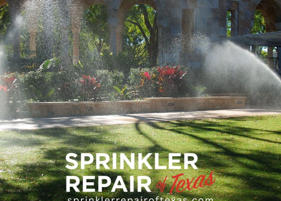 Having a Professional Irrigation Installation for your Front or Backyard