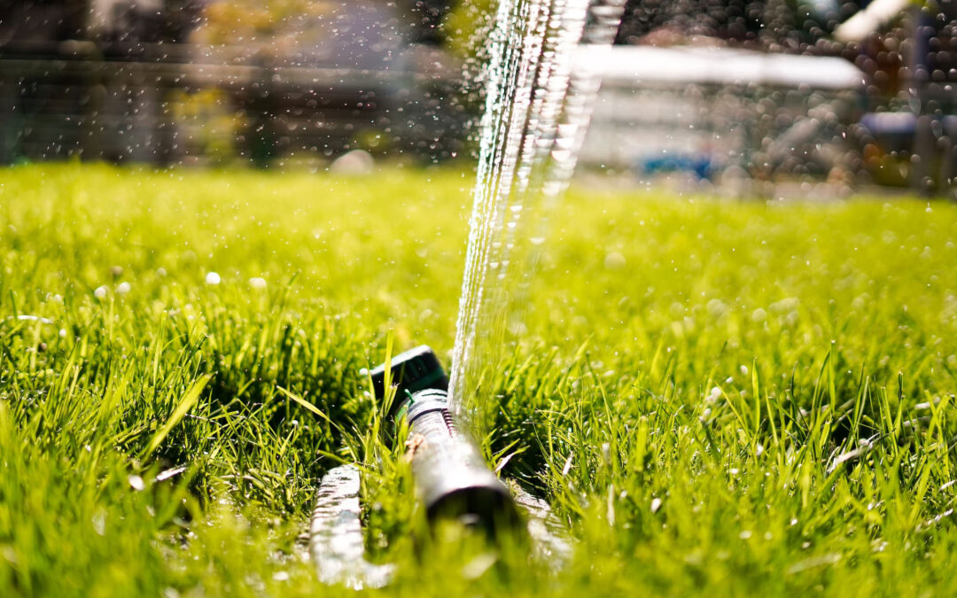 Links Report Month 1 – Sprinkler Repair of Texas
