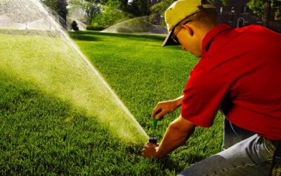 Keep Your Grass Green with our Irving Sprinkler Repair Services