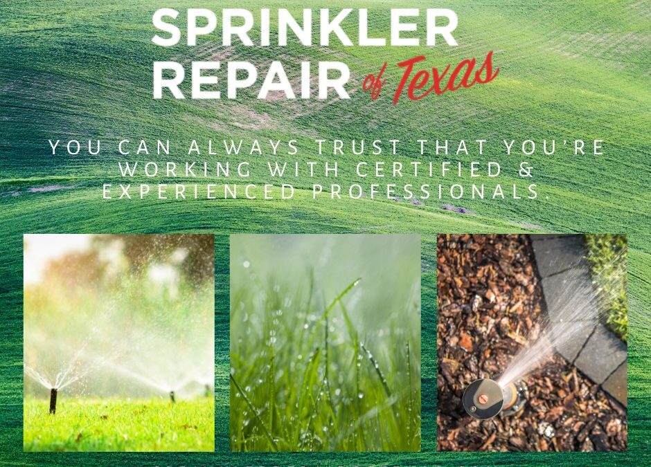 Our Licensed and Experienced Sprinkler Repair Technicians Will Identify your Problem and Solve it