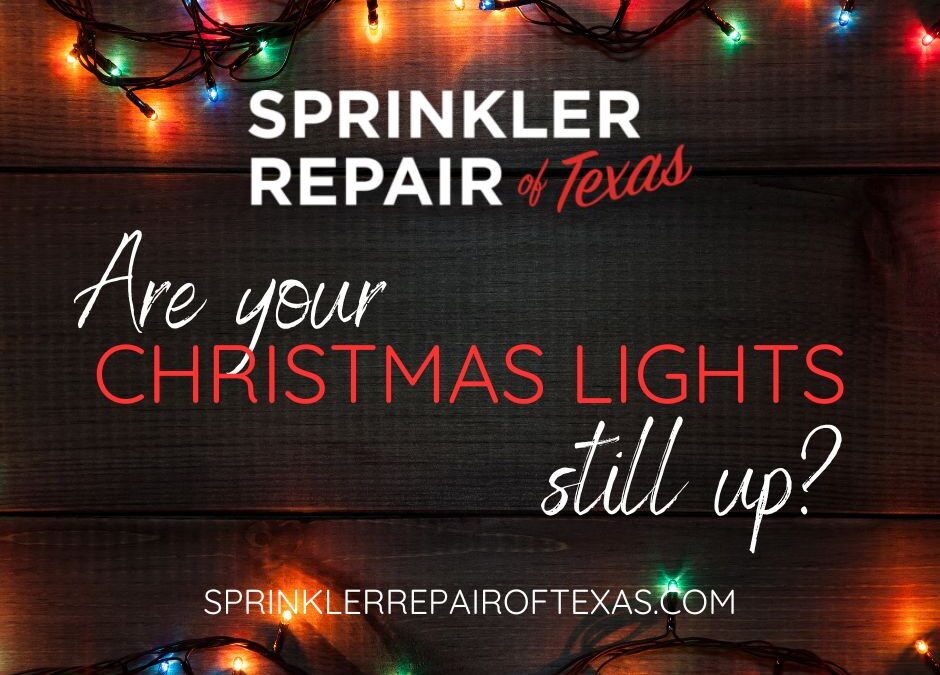 Are Your Christmas Lights Still Up… in Spring