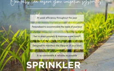 Whether You Have an Old Irrigation System or You’re Looking To Install One for the First Time, Our Team of Experienced Technicians Can Provide Reliable, Money-Saving Solutions for Your Peace of Mind