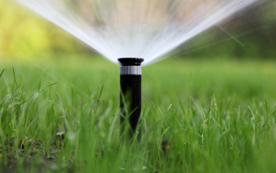 The Importance of Regular Sprinkler Maintenance