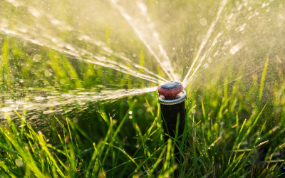 The Benefits of Upgrading to a Smart Sprinkler System