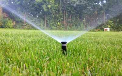 How to Identify Common Sprinkler System Issues