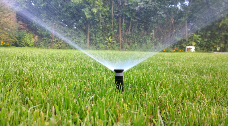 How to Identify Common Sprinkler System Issues