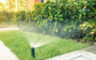 Everything You Need To Know About Residential Sprinkler Systems