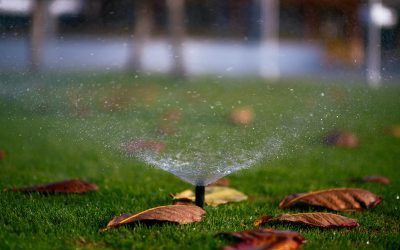 3 Common Problems With Sprinkler Systems – And How To Fix Them