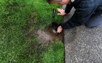 Top 5 Signs Your Sprinkler System Needs Repair